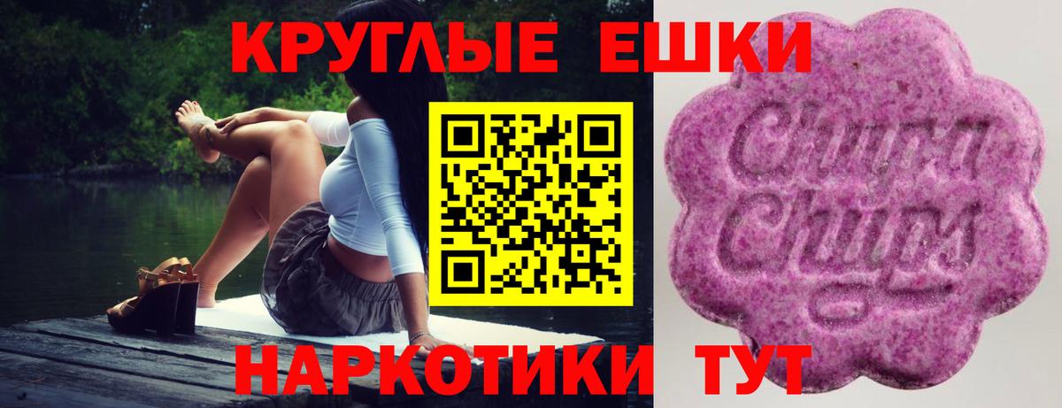 Ecstasy бентли Мурманск