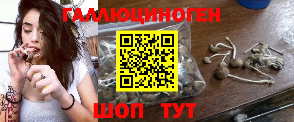 Псилоцибиновые грибы MAGIC MUSHROOMS  Вход с VPN  Мурманск 